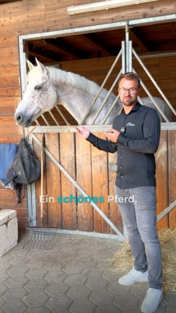 🐴 Private Reitanlage in Plettenberg – bald verfügbar! 🏡✨
Manche Immobilien sind mehr als nur ein Zuhause – sie sind ein Lebensgefühl.
Freuen Sie sich auf eine außergewöhnliche private Reitanlage mit historischem Wohngebäude, viel Platz für Mensch und Pferd sowie einer traumhaften Lage mitten im Grünen. 🌲🐎
✨ Historischer Charme trifft auf vielfältige Möglichkeiten.
✨ Großzügiges Grundstück.
✨ Ein Paradies für Pferdeliebhaber.
Mehr verraten wir noch nicht... 😉
📢 Das vollständige Exposé mit allen Details, Bildern und weiteren Highlights erscheint in Kürze.
👉 Sie möchten zu den Ersten gehören?
Kommentieren Sie einfach „Exposé“ oder schreiben Sie uns eine Nachricht – wir informieren Sie, sobald die Vermarktung startet.
Ihr Immo Maus Team 🐭🏡
#Vorankündigung #ImmoMaus #Plettenberg #Pferdeanwesen #Reitanlage