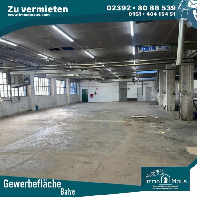 🏭 Sie suchen Lager- oder Hallenfläche in Balve?
Ab November 2026 stehen Ihnen flexibel teilbare Hallenflächen zur Verfügung:
🔑 Flächen ab ca. 150 m²
🚪 Jede Einheit mit eigenem Tor
📦 Insgesamt bis zu 1.400 m² verfügbar
🚚 Unkomplizierte Anlieferung
🚻 WC optional möglich
🚗 Parkmöglichkeiten vorhanden
💶 150 m² ab 650 € Kaltmiete zzgl. Nebenkosten
✅ Provisionsfrei
Ideal für Handwerksbetriebe, Warenlager, Maschinen, Material oder Veranstaltungsausstattung.
Sie benötigen mehr Platz? Größere zusammenhängende Flächen sind ebenfalls möglich – der Quadratmeterpreis wird bei größeren Flächen entsprechend günstiger.
📍 58802 Balve
📩 Interesse? Schreiben Sie uns gerne, welche Fläche Sie benötigen und wofür Sie die Halle nutzen möchten. Wir vereinbaren gerne einen Besichtigungstermin.
#Balve #Gewerbehalle #HalleMieten #Lagerfläche #gewerbeimmobilie