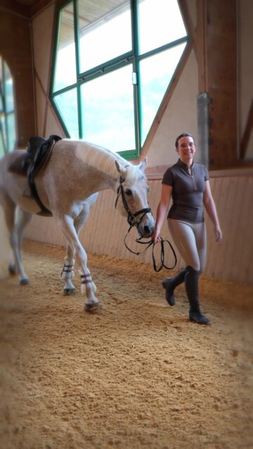 🏡🐴 KLAPPE AUF – ALICE SCHMIDT IN ACTION! 🎬

Ein Reiterhof, auf dem Geschichte auf Pferdeleidenschaft trifft! ❤️🐎

Unsere Kooperationspartnerin Alice Schmidt, Ihre Ansprechpartnerin für alles rund ums Pferd, nimmt Sie heute mit auf eine ganz besondere Besichtigung! 🎥🐴

📍 58840 Plettenberg – mitten im wunderschönen Sauerland

Begleiten Sie Alice auf einem Rundgang durch diese außergewöhnliche private Reitanlage und entdecken Sie ein Anwesen, das Pferdeherzen höherschlagen lässt! 🐎❤️

✨ Das erwartet Sie:

🐴 14 Pferdeboxen

🏇 Reithalle (20 × 40 m) und Reitplatz (15 × 55 m)

🌳 Ca. 9.418 m² Grundstück mit Weidefläche

🏡 Historisches Wohnhaus mit ca. 405 m² Wohnfläche

🔥 Gemütlicher Kamin und traumhafter Wintergarten

🧖 Sauna und Whirlpool

🌿 Parkähnlicher Garten

🚗 Carports und großzügige Lagerflächen

Ein echtes Herzensprojekt für Pferdemenschen! ❤️

Ob Sie von einem eigenen Reiterhof träumen, Ihre Pferde direkt am Haus halten möchten oder ein außergewöhnliches Zuhause suchen – hier könnten Ihre Träume wahr werden.

🎬 Film ab! Alice zeigt Ihnen den Hof und seine besonderen Highlights!

💬 Kaufpreis auf Anfrage.

📞 Sie möchten mehr erfahren oder einen persönlichen Besichtigungstermin vereinbaren?

Immo Maus UG (haftungsbeschränkt)

📧 info@immomaus.com

🌐 immomaus.com

🐴 Alice Schmidt – unsere Kooperationspartnerin mit Leidenschaft und Kompetenz !

#ImmoMaus #AliceSchmidt #KlappeAuf
